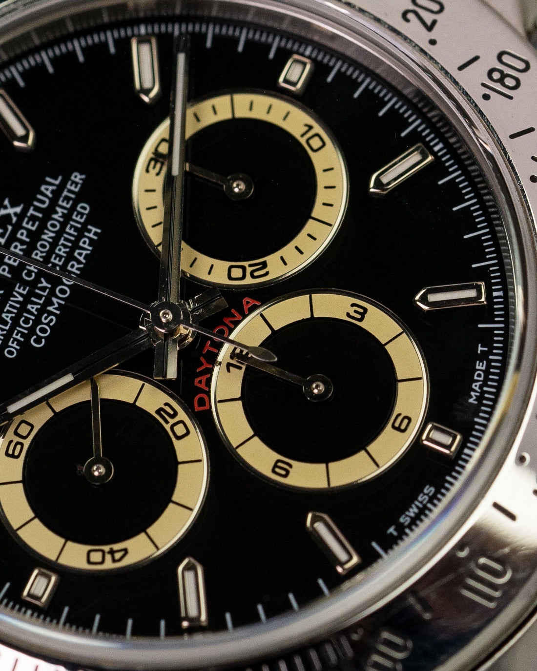 Daytona 16520 'Zenith'